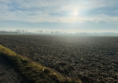 działka na sprzedaż - Pilchowice, Żernica